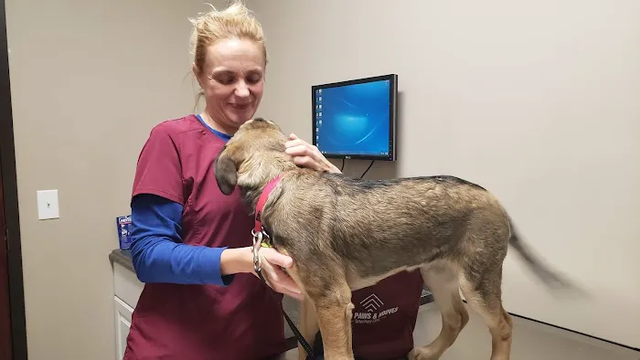 Four Paws Veterinary Clinic 4