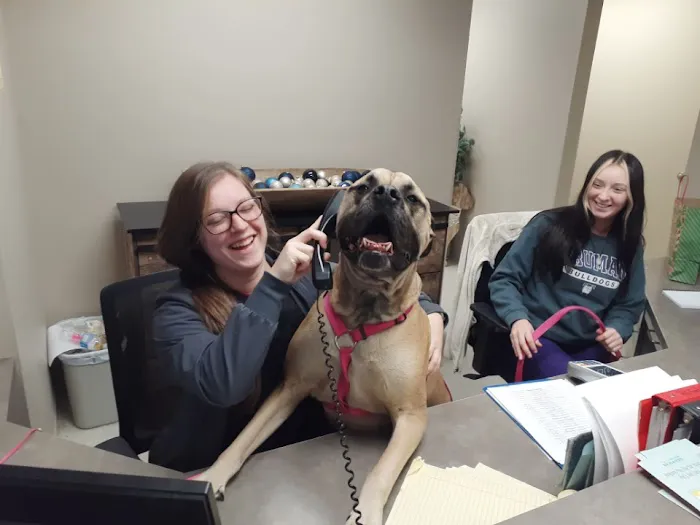 Animal Medical Clinic 1