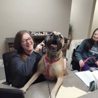 Animal Medical Clinic ico