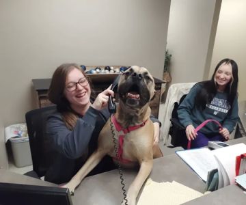 Animal Medical Clinic