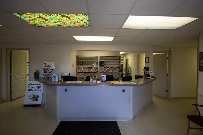 Animal Medical Clinic 6