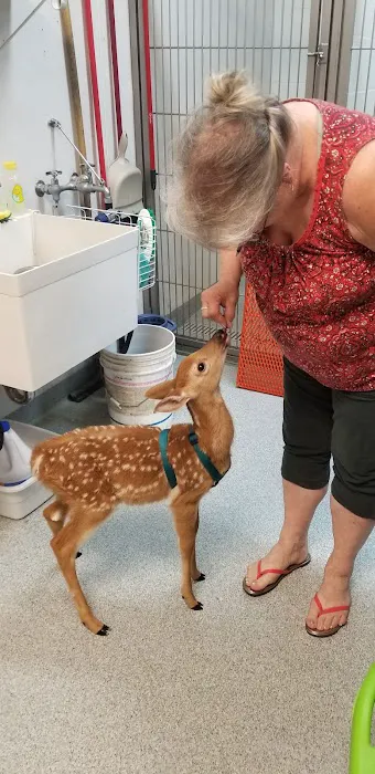 Western Illinois Veterinary Clinic 8