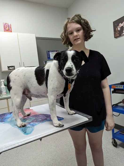 Western Illinois Veterinary Clinic 4
