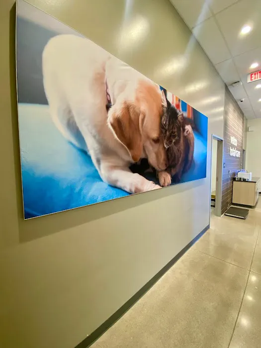 Vetco Total Care Animal Hospital 3