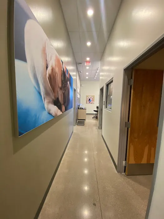 Vetco Total Care Animal Hospital 7