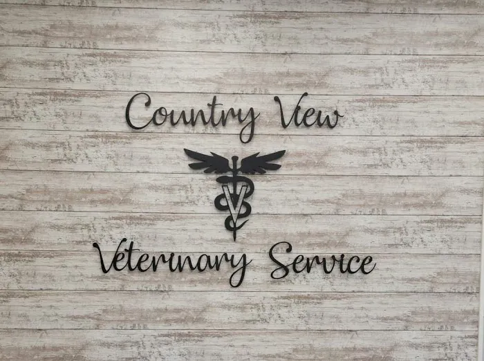 Veterianary Clinic 7