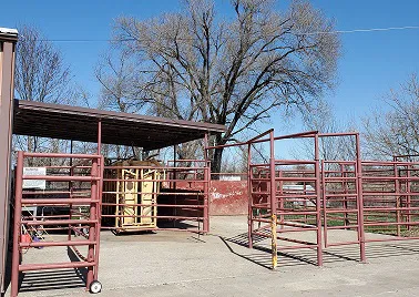 Cooper County Animal Hospital 3