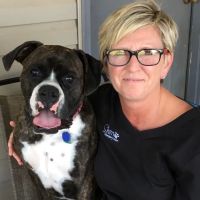 Barnes veterinary hospital ico