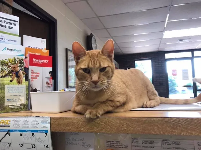 Barnes veterinary hospital 6
