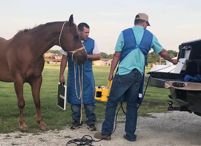 Smith Equine and Veterinary Services LLC 2