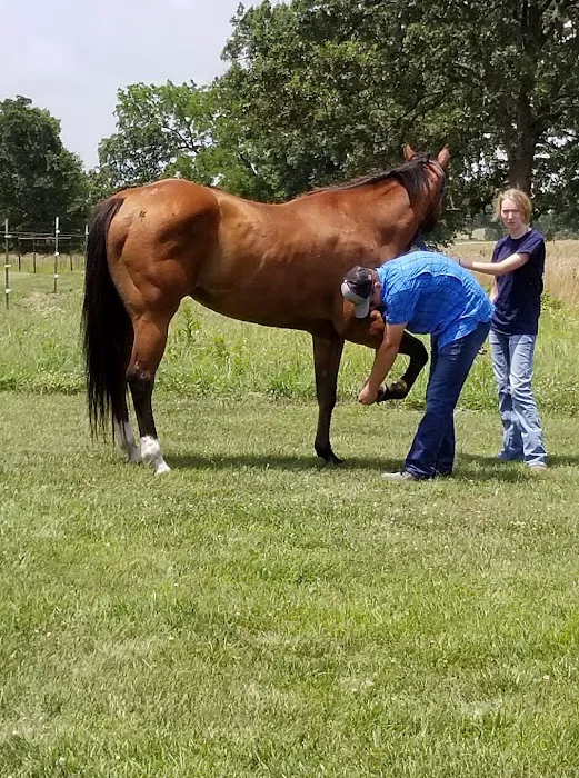 Smith Equine and Veterinary Services LLC 6