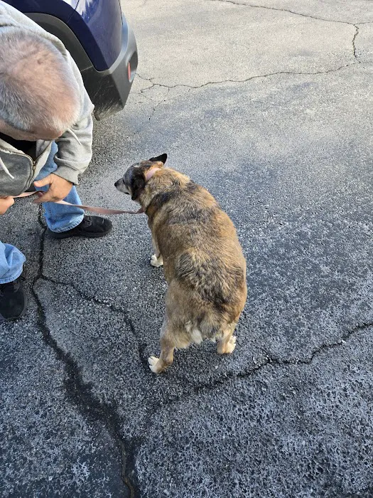 Carthage Animal Hospital 3
