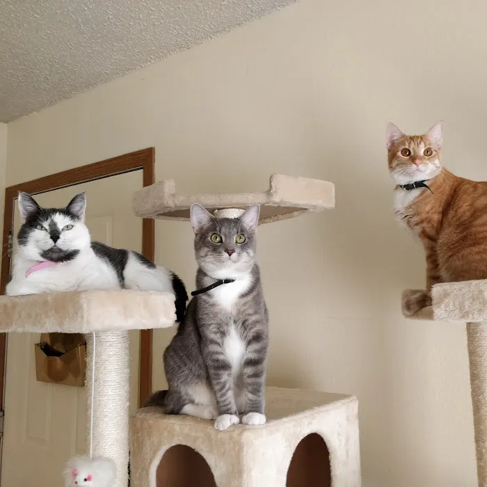 Carthage Animal Hospital 9