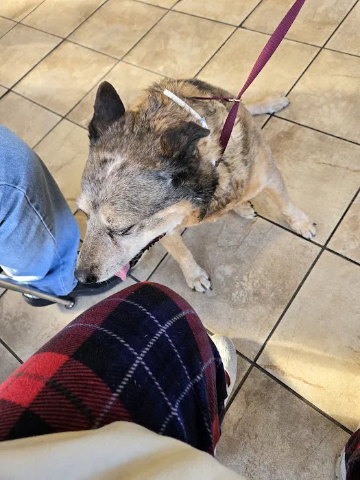 Carthage Animal Hospital 7