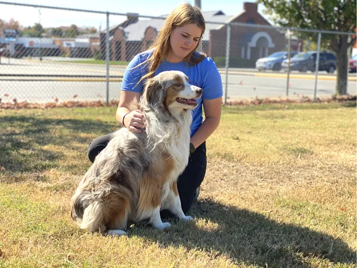 Central Pet Care 6