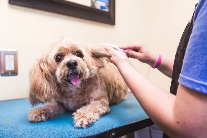Central Pet Care 10