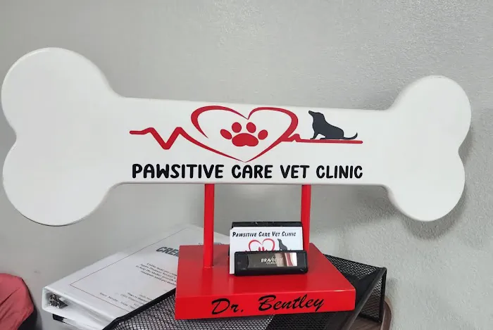 Pawsitive Care Vet Clinic 3