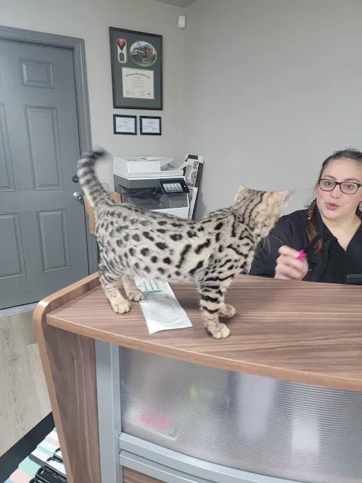 Pawsitive Care Vet Clinic 9