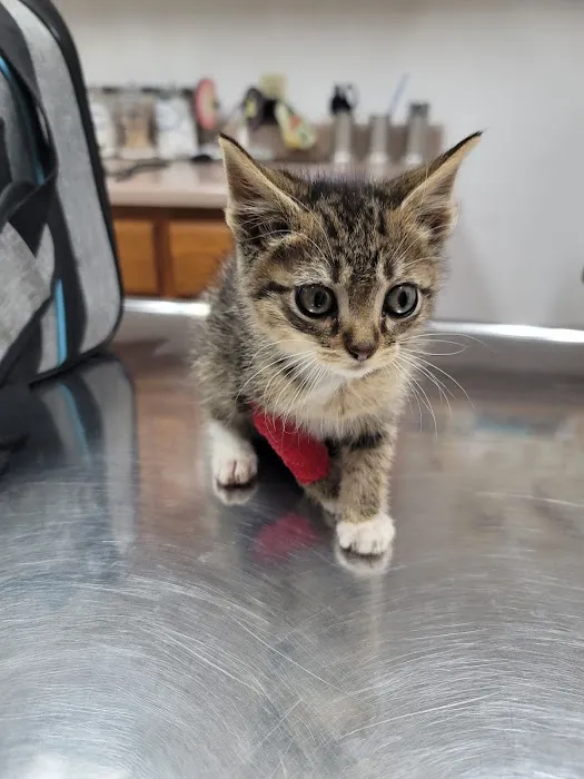 Pet Clinic of Neosho 1