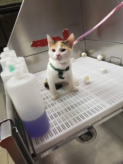 Pet Clinic of Neosho 7