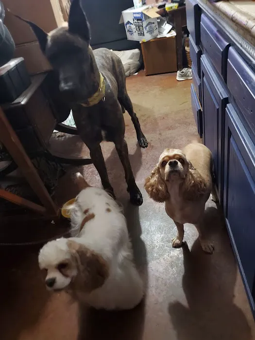 Pet Clinic of Neosho 9