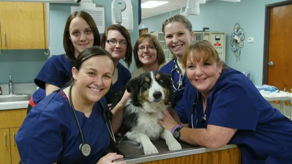 Cornerstone Animal Hospital 2