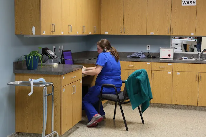 Cornerstone Animal Hospital 9
