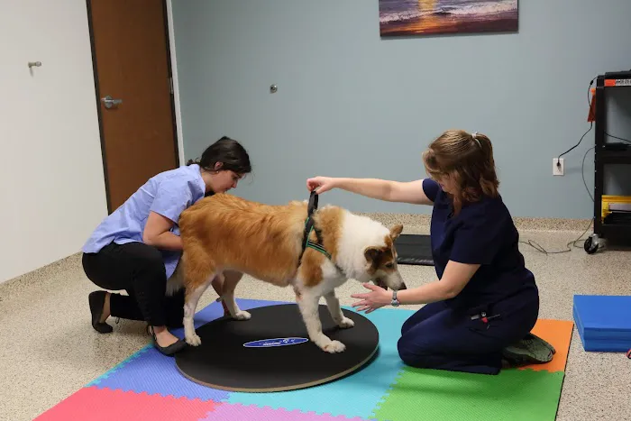 Cornerstone Animal Hospital 8