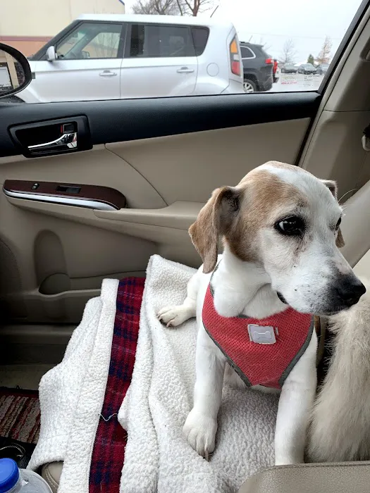 Paws Veterinary Clinic & Grooming Spa 5