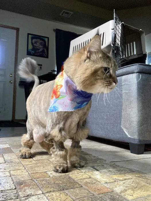 Paws Veterinary Clinic & Grooming Spa 6