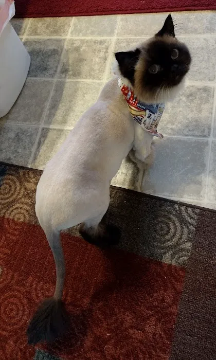 Paws Veterinary Clinic & Grooming Spa 7