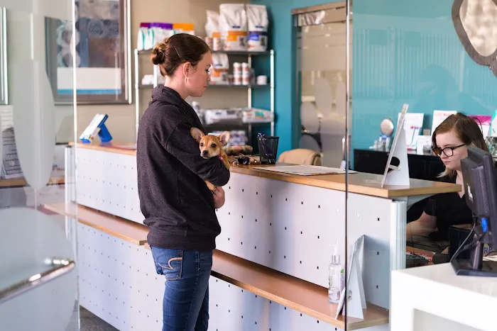 Paws Veterinary Clinic & Grooming Spa 10