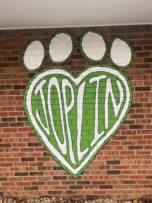 Academy Animal Hospital 2