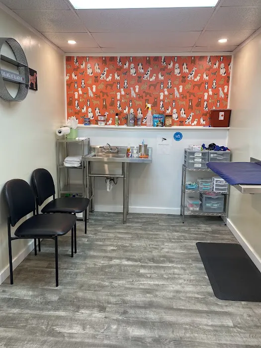 Academy Animal Hospital 1
