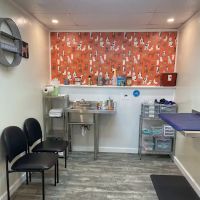 Academy Animal Hospital ico