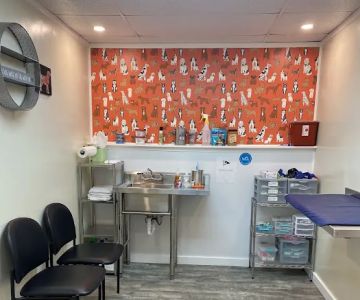 Academy Animal Hospital