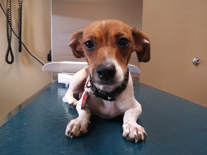River's Edge Veterinary Hospital 1