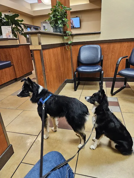 River's Edge Veterinary Hospital 4