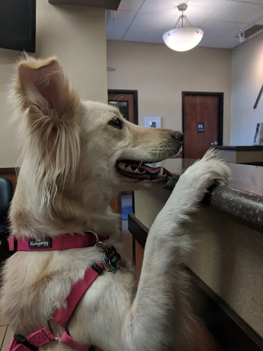 River's Edge Veterinary Hospital 3