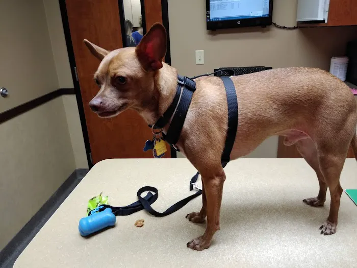 River's Edge Veterinary Hospital 6