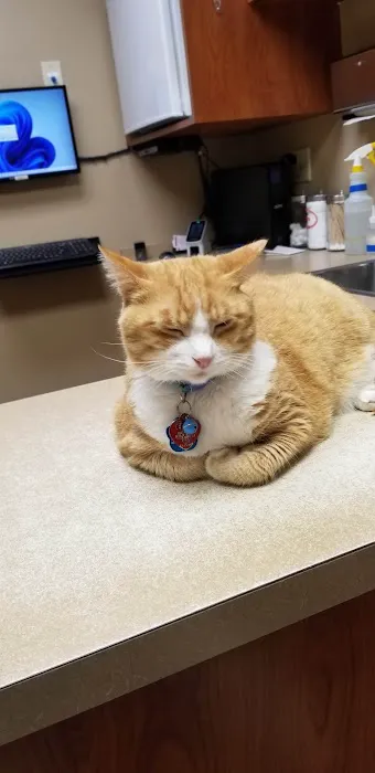 River's Edge Veterinary Hospital 2
