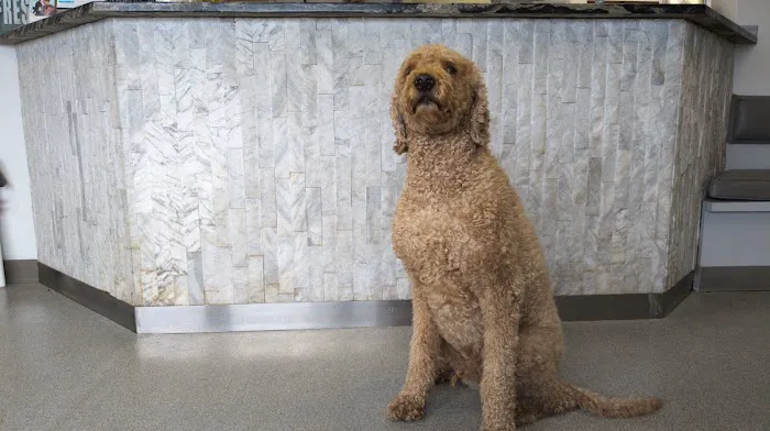 Heartland Veterinary Hospital 1