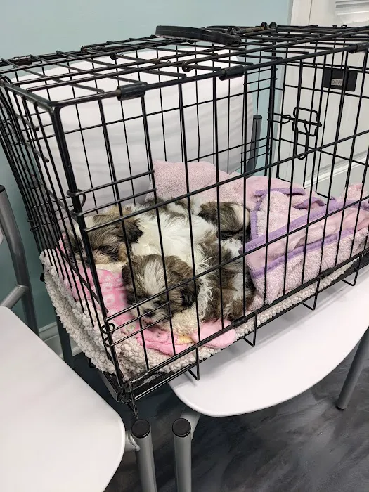 Progressive Animal Healthcare 9