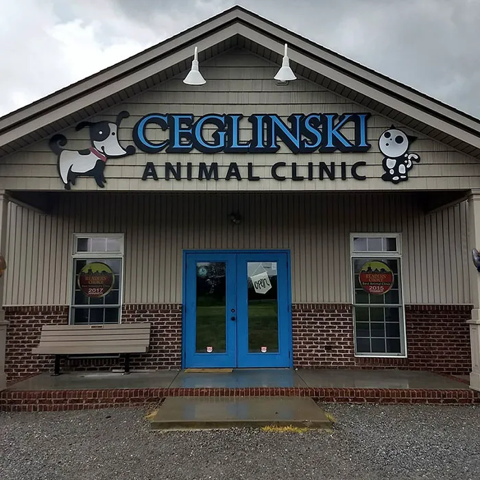 Ceglinski Animal Clinic 2