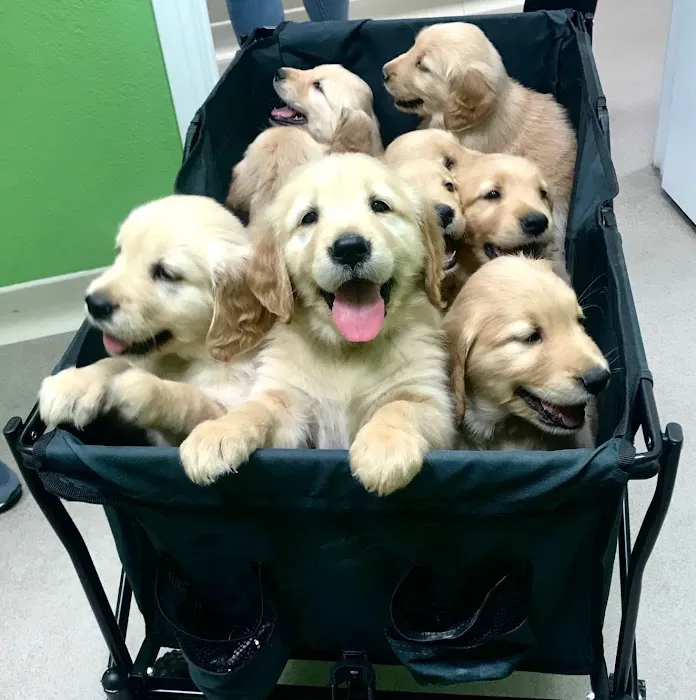 Ceglinski Animal Clinic 3