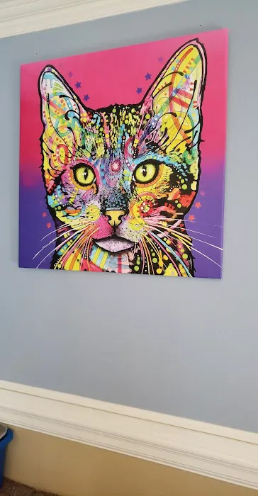 Ceglinski Animal Clinic 7