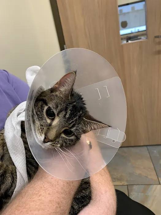 Lone Oak Animal Clinic 1