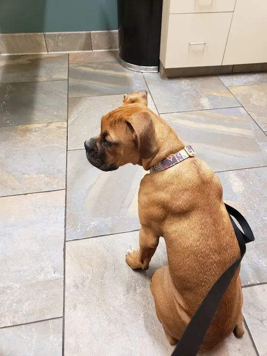 Lone Oak Animal Clinic 3