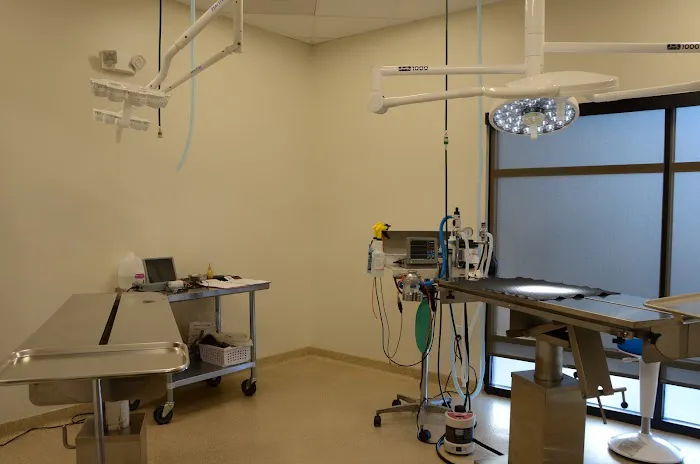 Lone Oak Animal Clinic 10