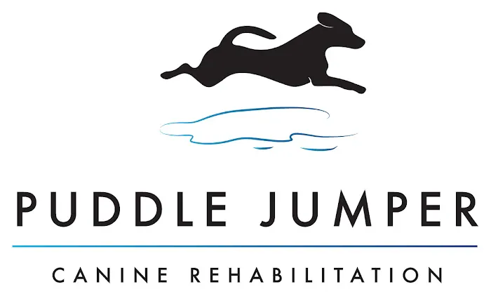Puddle Jumper Canine Rehabilitation 1